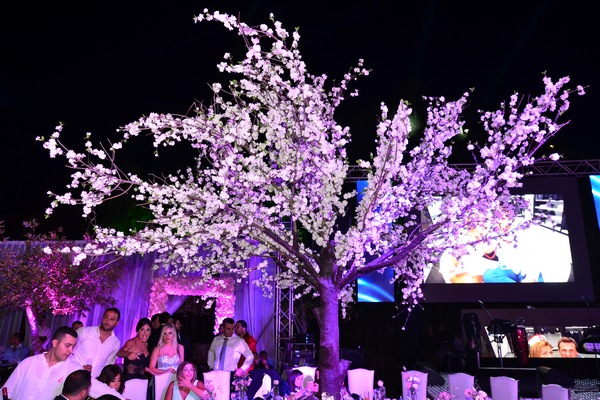 Wedding of Toni Akar